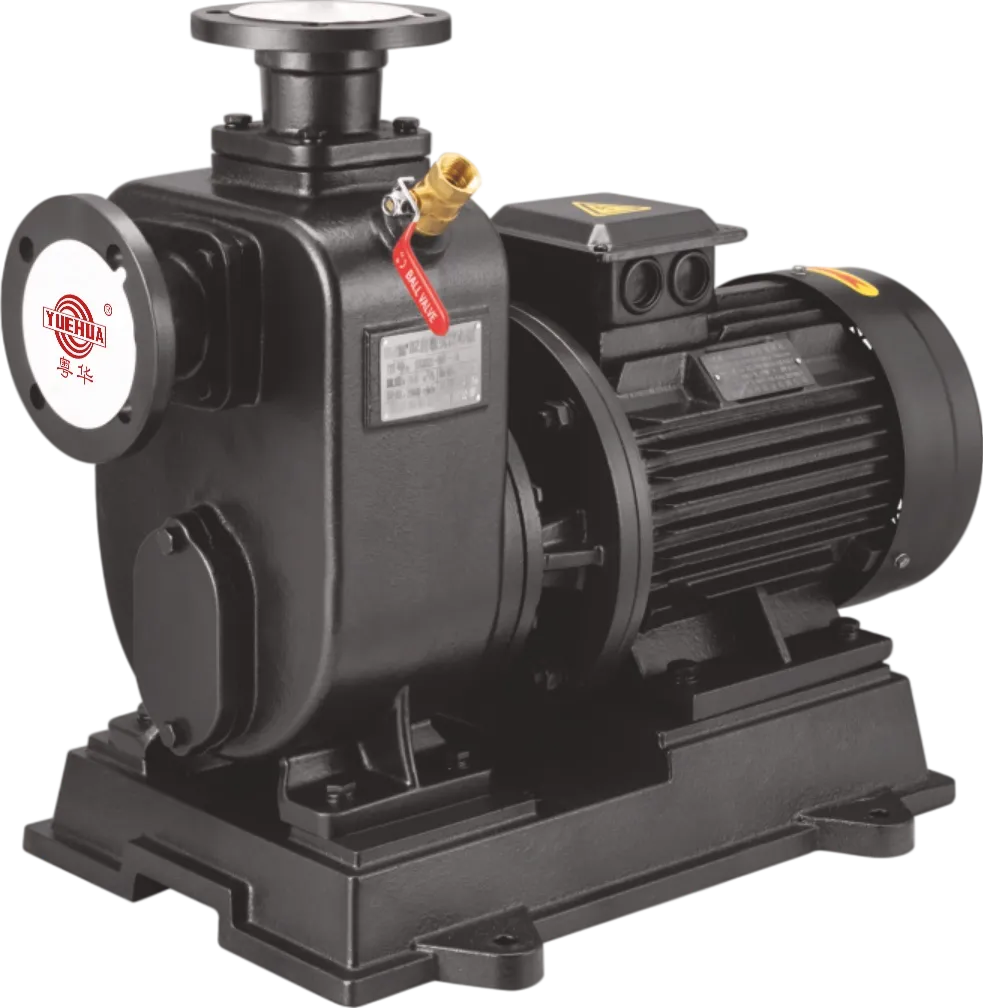 BZ Self-Priming Clean Water Pump - Winning Pumps