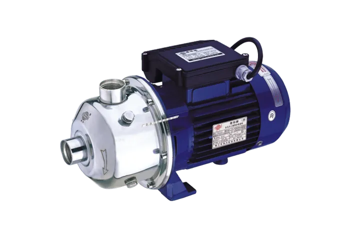 DW Horizontal Multistage Stainless Steel Centrifugal Pump - Winning Pumps