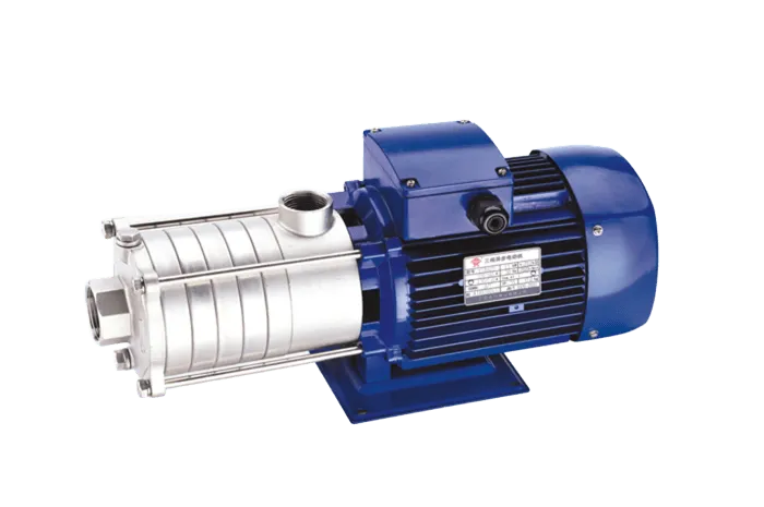 DW(S) Horizontal Multistage Stainless Steel Centrifugal Pump - Winning Pumps